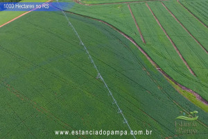 VB 4.00_03_37_24.Quadro053_a7a78737b77c2a934a028efc435ac821f510c57c.jpg